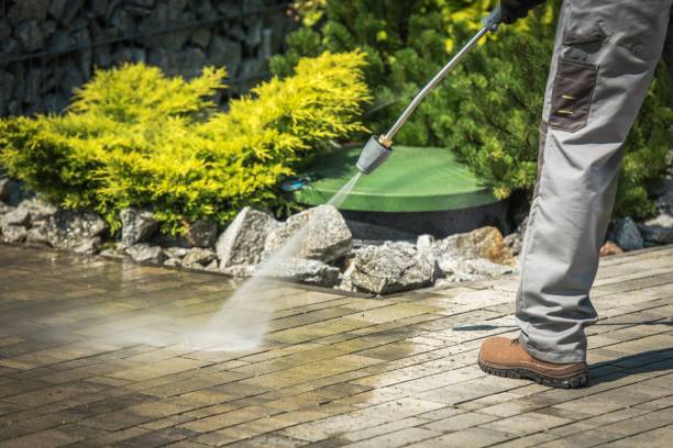 Best Sidewalk and Walkway Cleaning  in Mount Carmel, IL