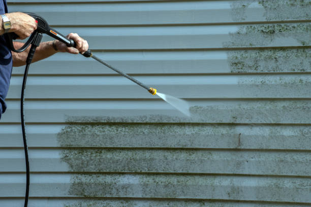 Best Spring Cleaning  in Mount Carmel, IL