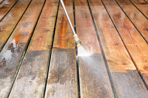 Best Fence Cleaning  in Mount Carmel, IL